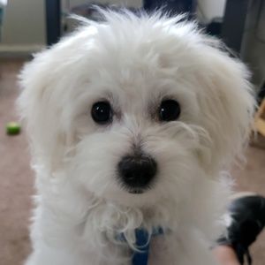 Meet your Posher, Jane